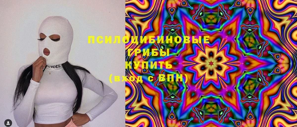 тгк Алексин