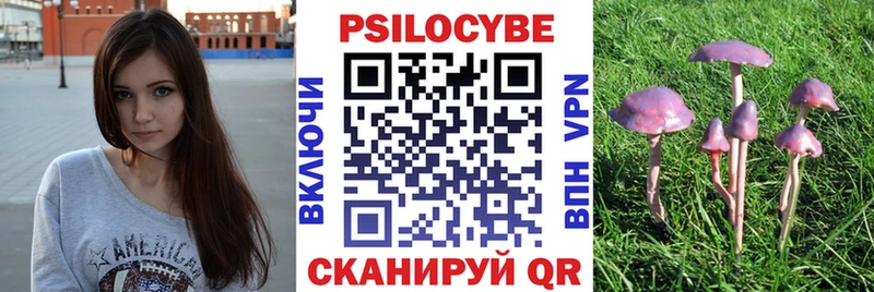 Псилоцибиновые грибы GOLDEN TEACHER Похвистнево